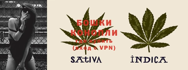 ГАЛЛЮЦИНОГЕННЫЕ ГРИБЫ Новозыбков